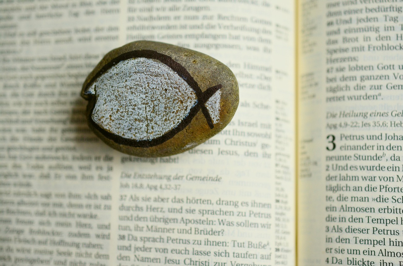 stone, symbol, fish symbol, christian faith, christianity, bible, community think, holy scripture, christians, a book, book pages, religion, church, faith, christian, god, religious